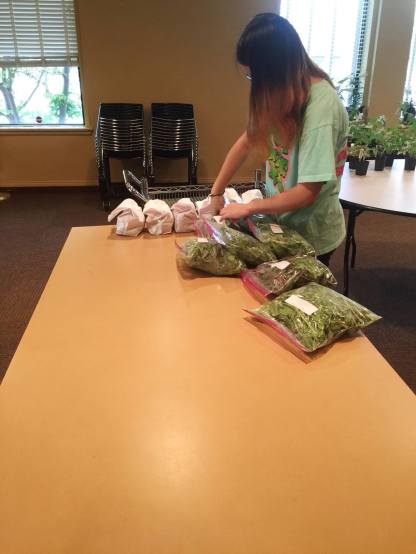 17976781_10155285071663408_221875917_o