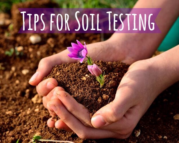 FullSizeRender (4).jpg